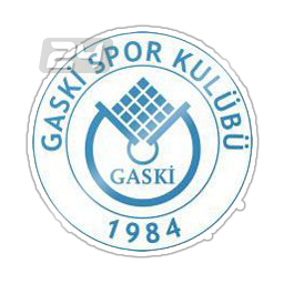 Gaskispor